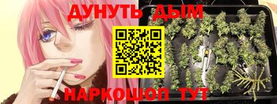 гашик Малгобек