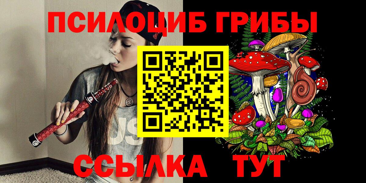Долгопрудный  где продают наркотики  Вход с VPN  Псилоцибиновые грибы мицелий 