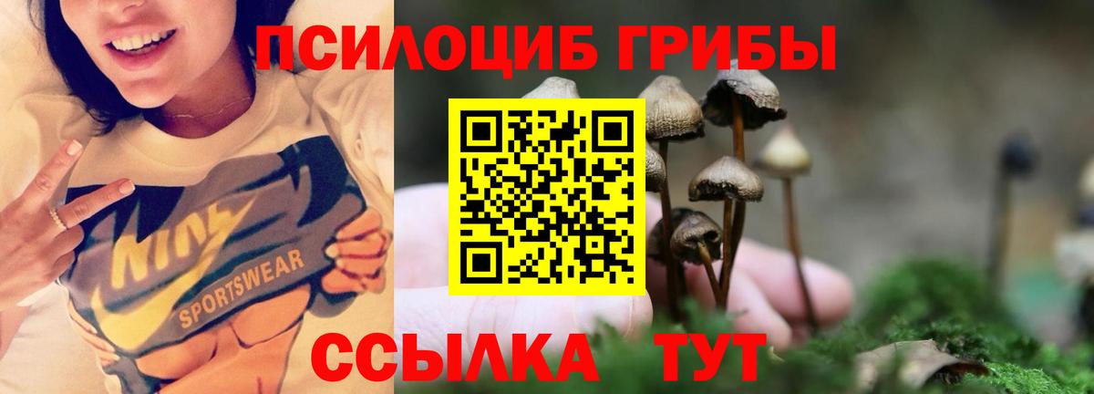 Псилоцибиновые грибы мухоморы Долгопрудный